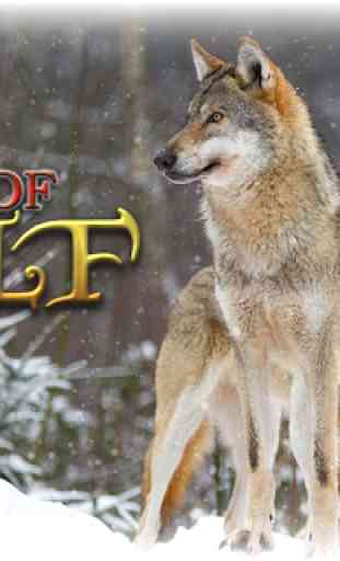 Gioco di sopravvivenza caccia animali - Wolf Sim 1