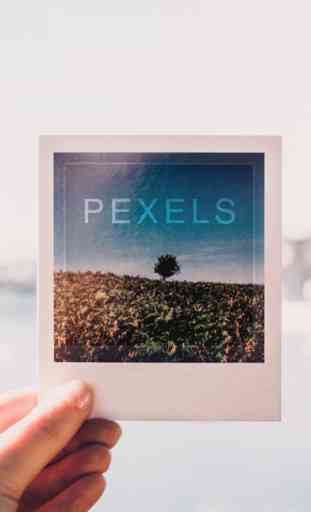 Pexels 1
