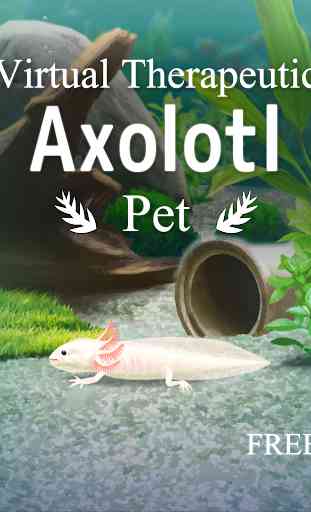 Axolotl Pet 4