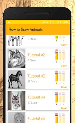 Come Disegnare gli Animali 1