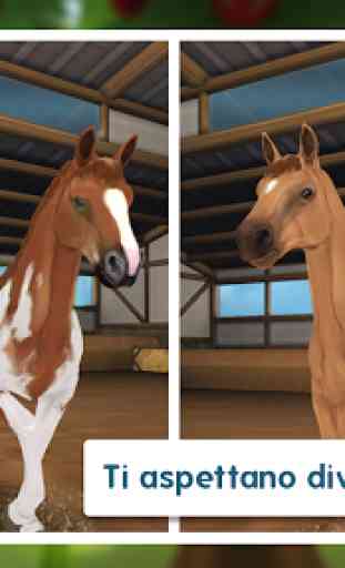Horse Hotel - il gioco per gli amici dei cavalli 1