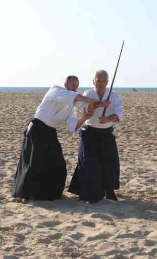 Aikido Lessons 2