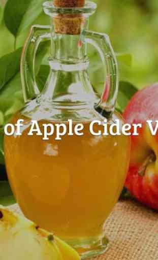 Apple Cider Vinegar: Benefits, Uses, Recipes... 1