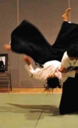 Best Aikido Technique 1