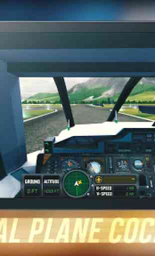 Flight Sim 2018 3
