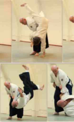 Impara l'aikido da casa gratuitamente 2