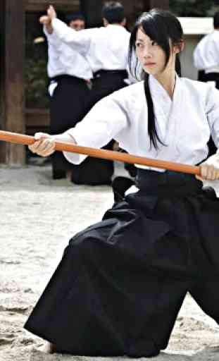 Impara l'aikido e l'autodifesa. Arti marziali 2