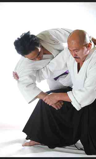 Impara l'aikido e l'autodifesa. Arti marziali 4