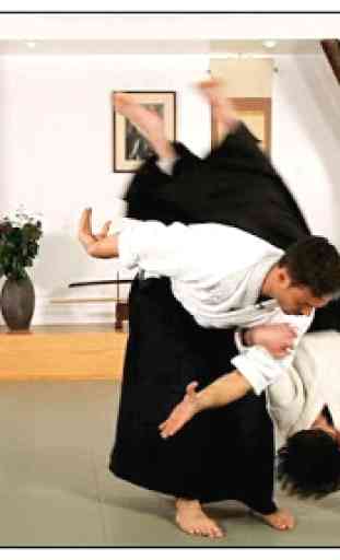 Impara l'aikido e le arti marziali 1