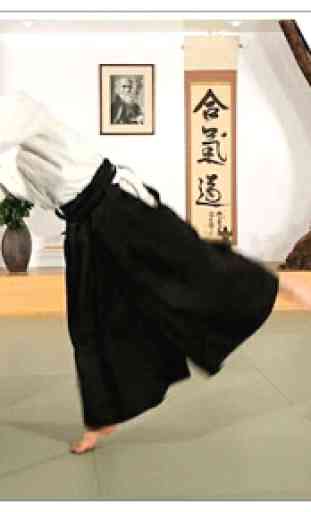 Impara l'aikido e le arti marziali 2