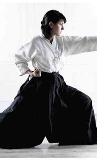 Impara l'aikido nei corsi online 1