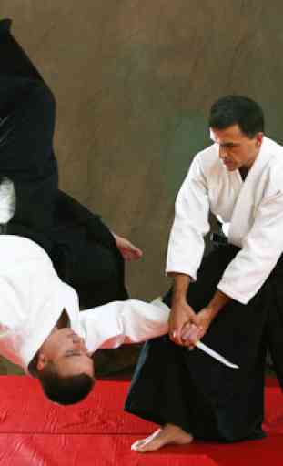 Impara l'aikido nei corsi online 2