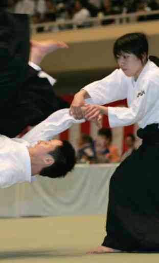 Impara l'aikido nei corsi online 3