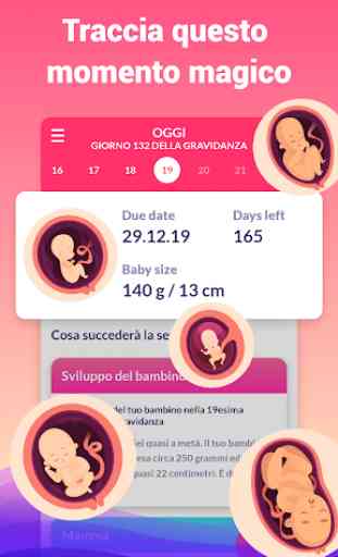 La mia gravidanza - Tracciatore della gravidanza 2