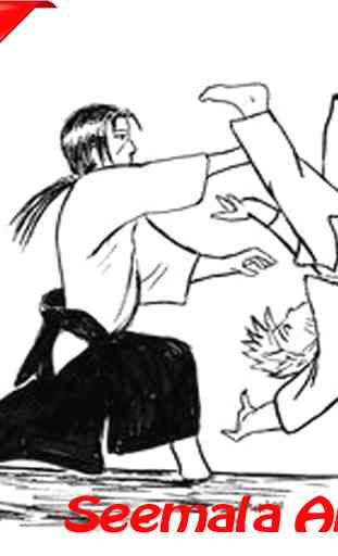 Learn the Best Aikido Techniques 2