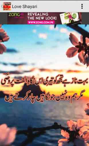 Love Poetry (Shayari) In Urdu 4