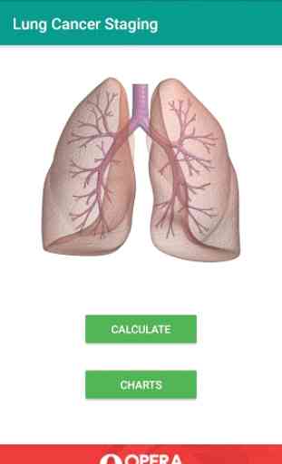 Lung Cancer Staging 8th Edition 1