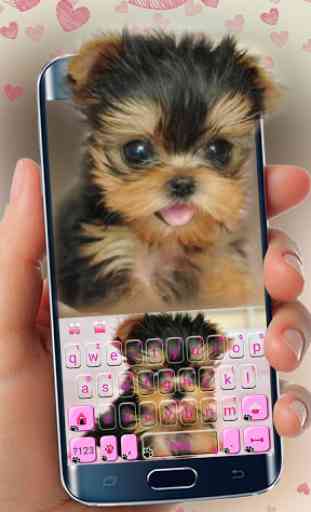 Nuovo tema Cute Tongue Cup Puppy per Tastiera 1