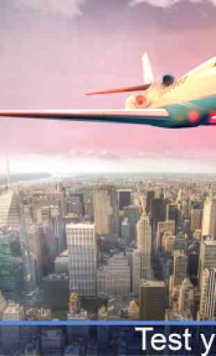 Pilota d'aereo - Simulatore di Volo 3D 3