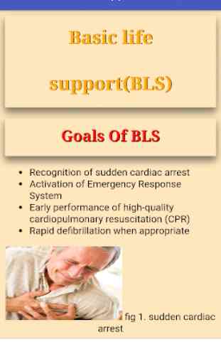 Practical Guide to BLS and ACLS 4