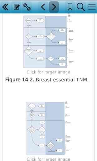 TNM Classification of Malignant Tumours, 8th Ed 3