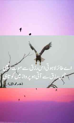 Allama Iqbal Poetry in Urdu 4