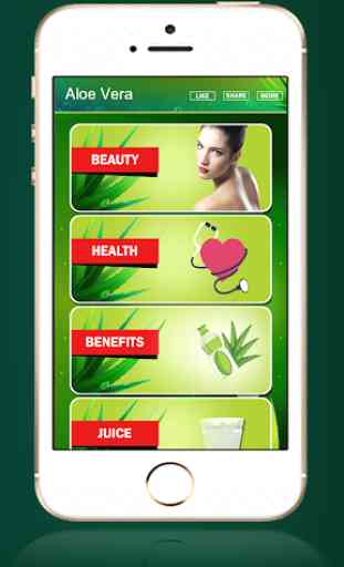 Aloe Vera Benefits : Aloe Vera Uses 3