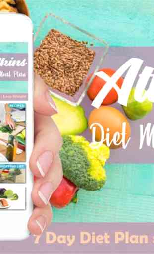 Atkins Diet Plan 4