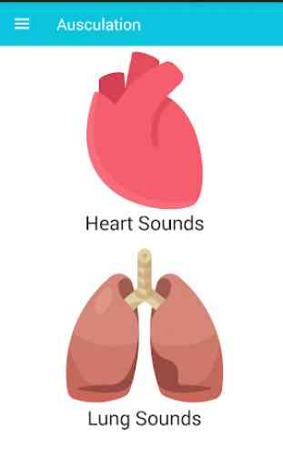Auscultation ( Heart & Lung Sounds) 1