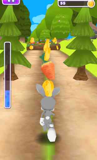 Bunny Run - Bunny Rabbit Game 4