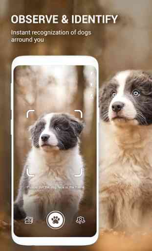 Dog Bread Identifier: Dog Scanner by photo, camera 1