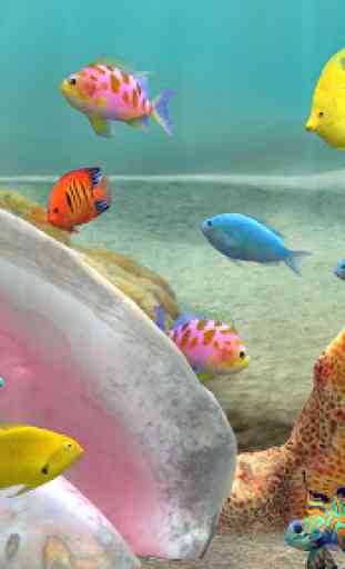 Fish Farm 3: 3D Aquarium Live Wallpaper 2