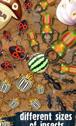 Hexapod gioco insetti formiche scarafaggi uccisore 2