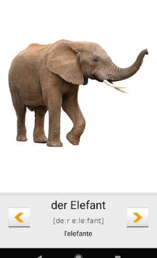 Impariamo le parole tedesche con Smart-Teacher 3