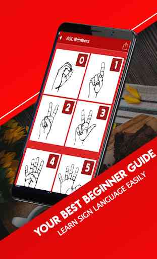 Lingua dei segni per principianti 4