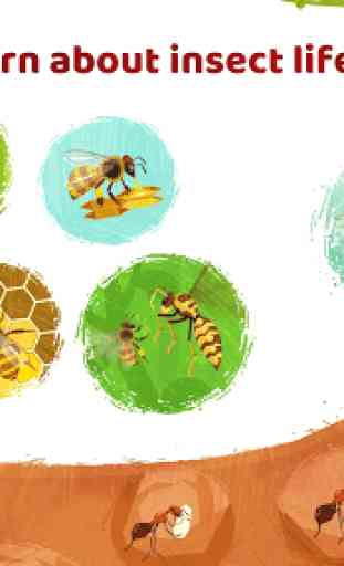 Little Panda's Insect World - Bee & Ant 4