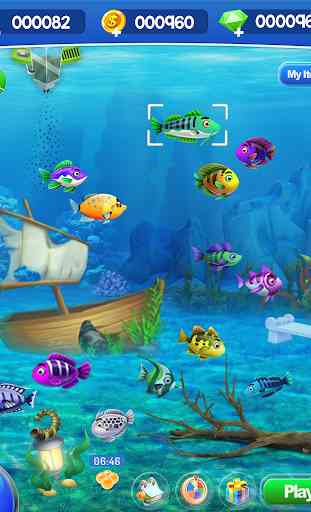 Mondo acquatico di pesci 1