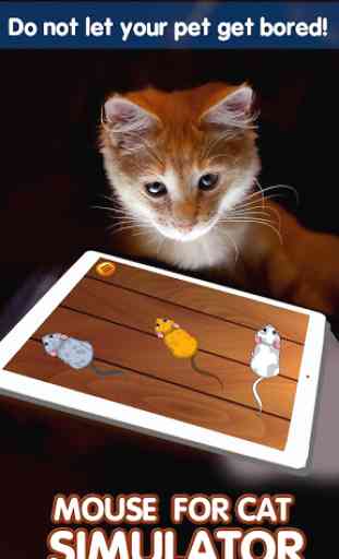 Mouse per Cat Simulator 2