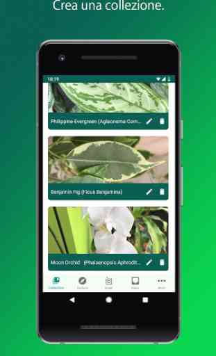 PlantSnap - identifica piante, fiori e alberi 4