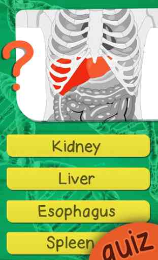 Quiz Anatomia Umana – Il Corpo Umano Anatomia 2