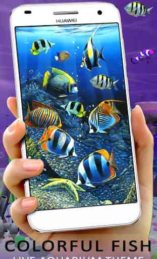Realistico 3D Koi Fish Aquarium Wallpaper App 2