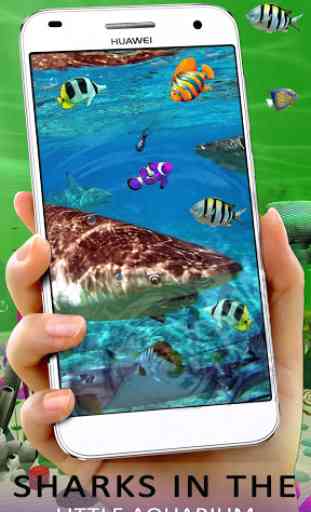 Realistico 3D Koi Fish Aquarium Wallpaper App 3