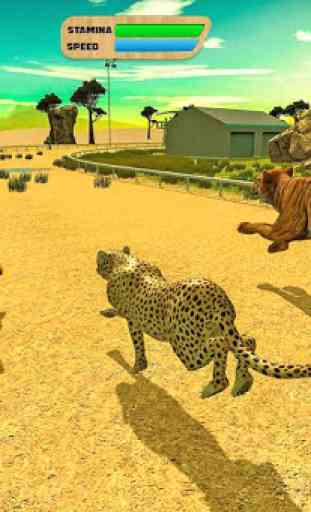 savana animal racing 3D 3