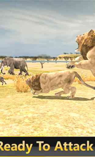 Simulatore di safari selvatici leone 3d 2