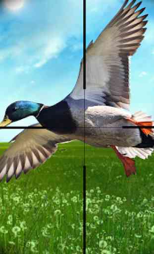 Stagione caccia anatre 2020: Bird shooting Games 1