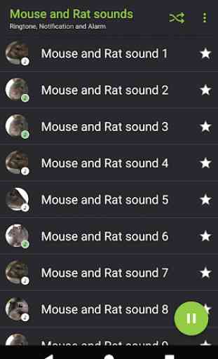 suoni topi e ratti - Appp.io 2