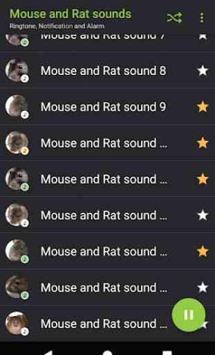 suoni topi e ratti - Appp.io 3