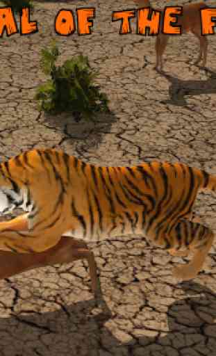 Ultimate Lion Vs Tiger: Wild Jungle Adventure 4