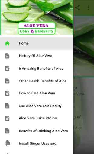Uses & Benefits of Aloe Vera 1