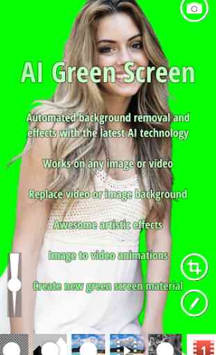 AI Green Screen 1